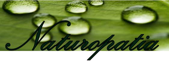 Natur BANNER